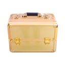 Golden Makeup Case [S2409P04]
