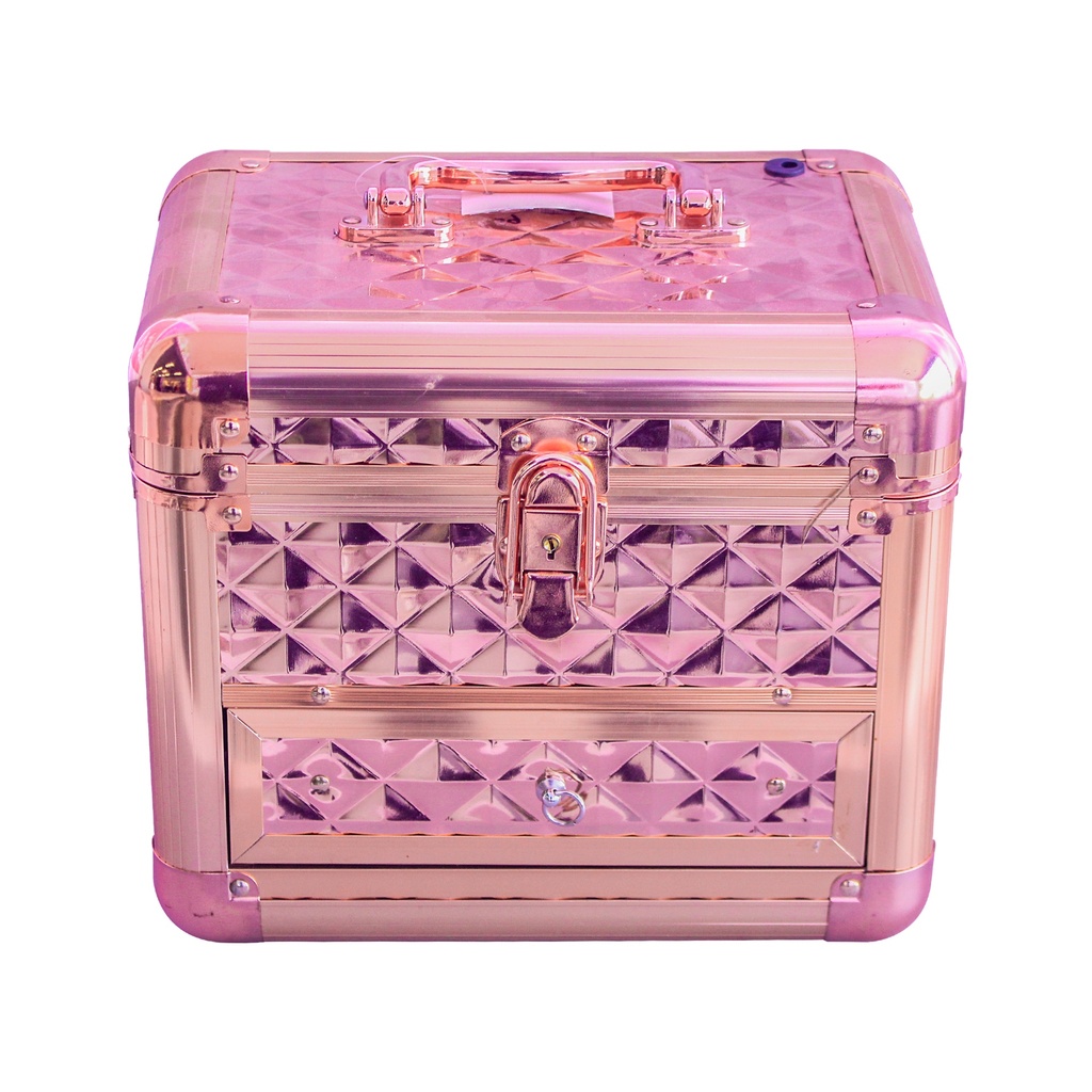 Gold Mini Makeup Case [S2409P09]