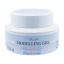 Molding Gel - Clear 40g [S2506P34]