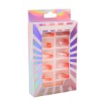 French Nail Tips [S2409P19]